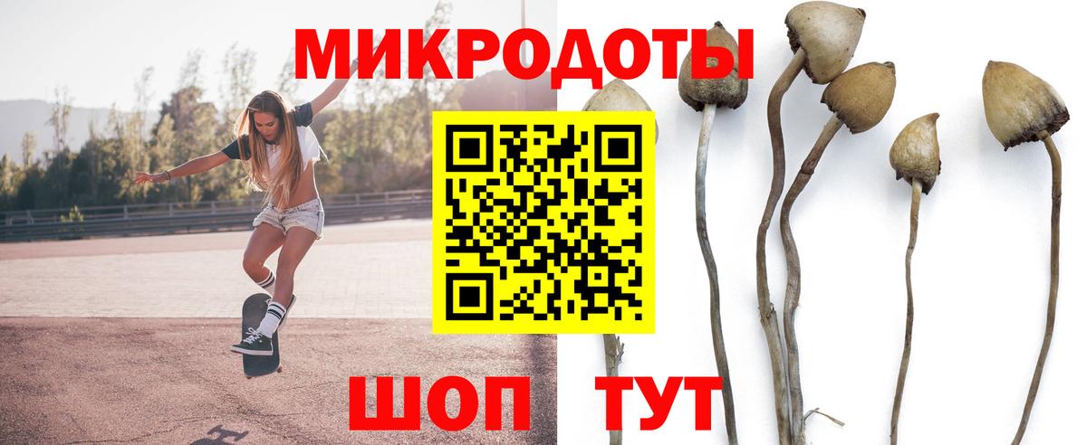 Галлюциногенные грибы Cubensis  Вход с VPN  Зима 